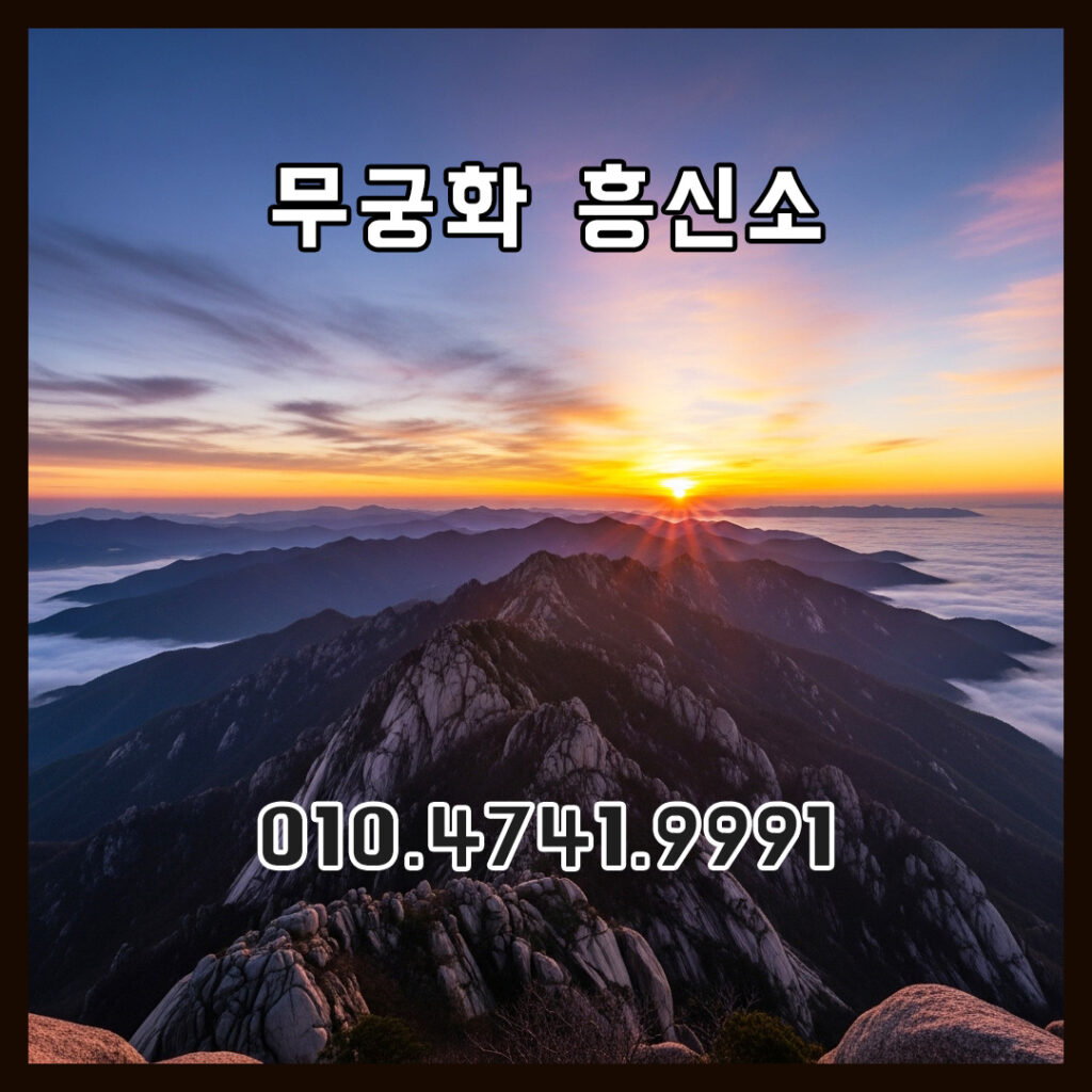 흥신소비용